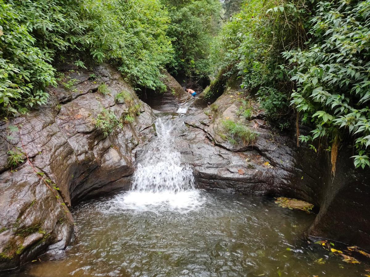 Villoonnickal Homestay Munnar Exteriör bild