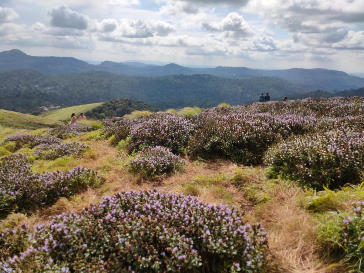 Villoonnickal Homestay Munnar Exteriör bild